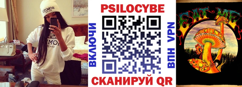 Галлюциногенные грибы Psilocybe Великий Устюг