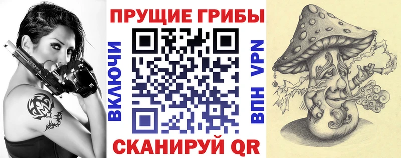 hydra ССЫЛКА  Великий Устюг  Галлюциногенные грибы MAGIC MUSHROOMS 